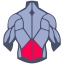 Lower back icon