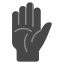 Palmar facsia icon